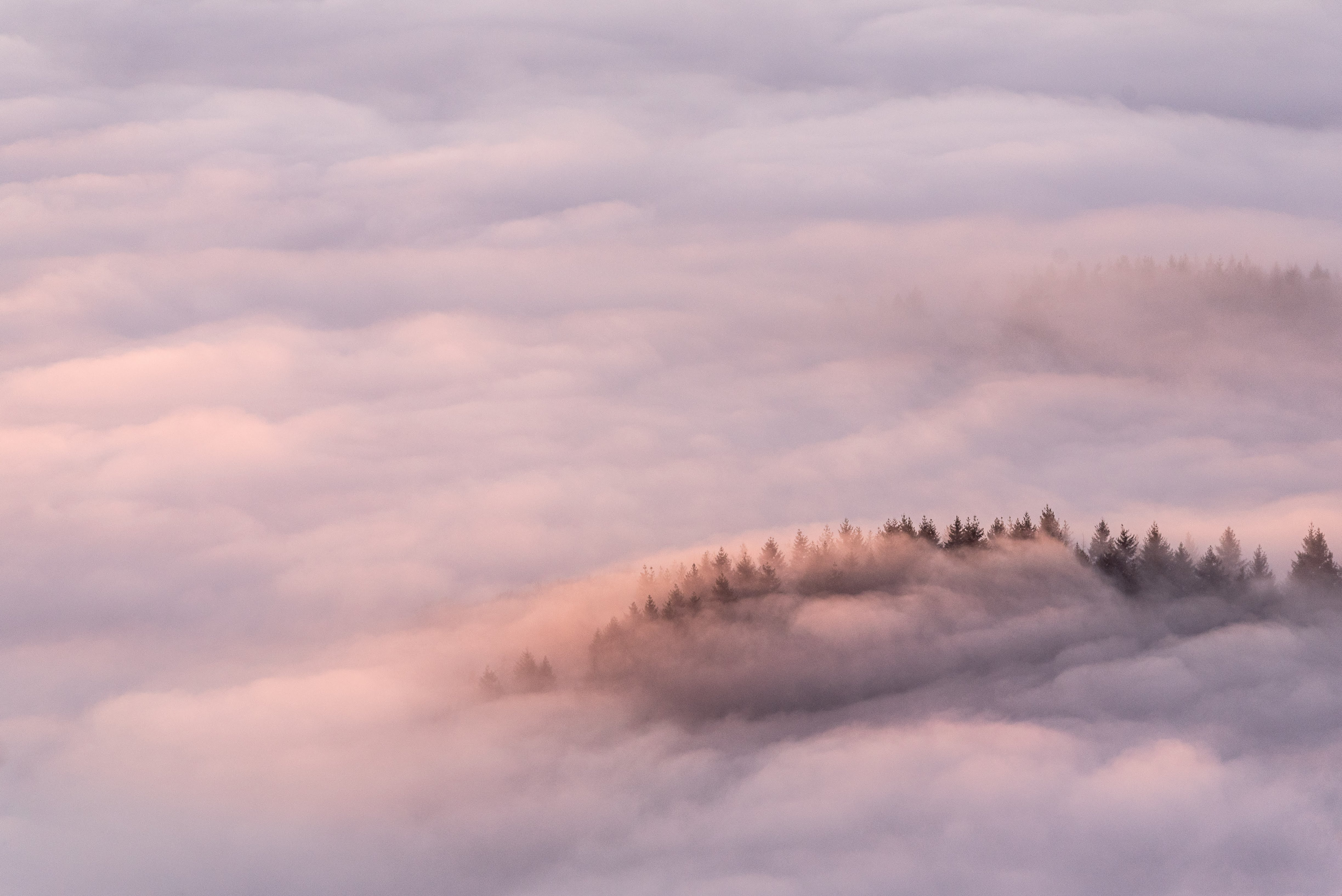 Berggipfel über dem Wolkenmeer im Morgenlicht